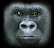 Символ игрового автомата King Of The Jungle Горилла
