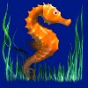 Символ игрового автомата Dolphin's Pearl Deluxe Морской конек