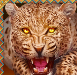 Символ игрового автомата Book Of Tribes Леопард