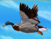 Символ игрового автомата Duck Shooter Утка
